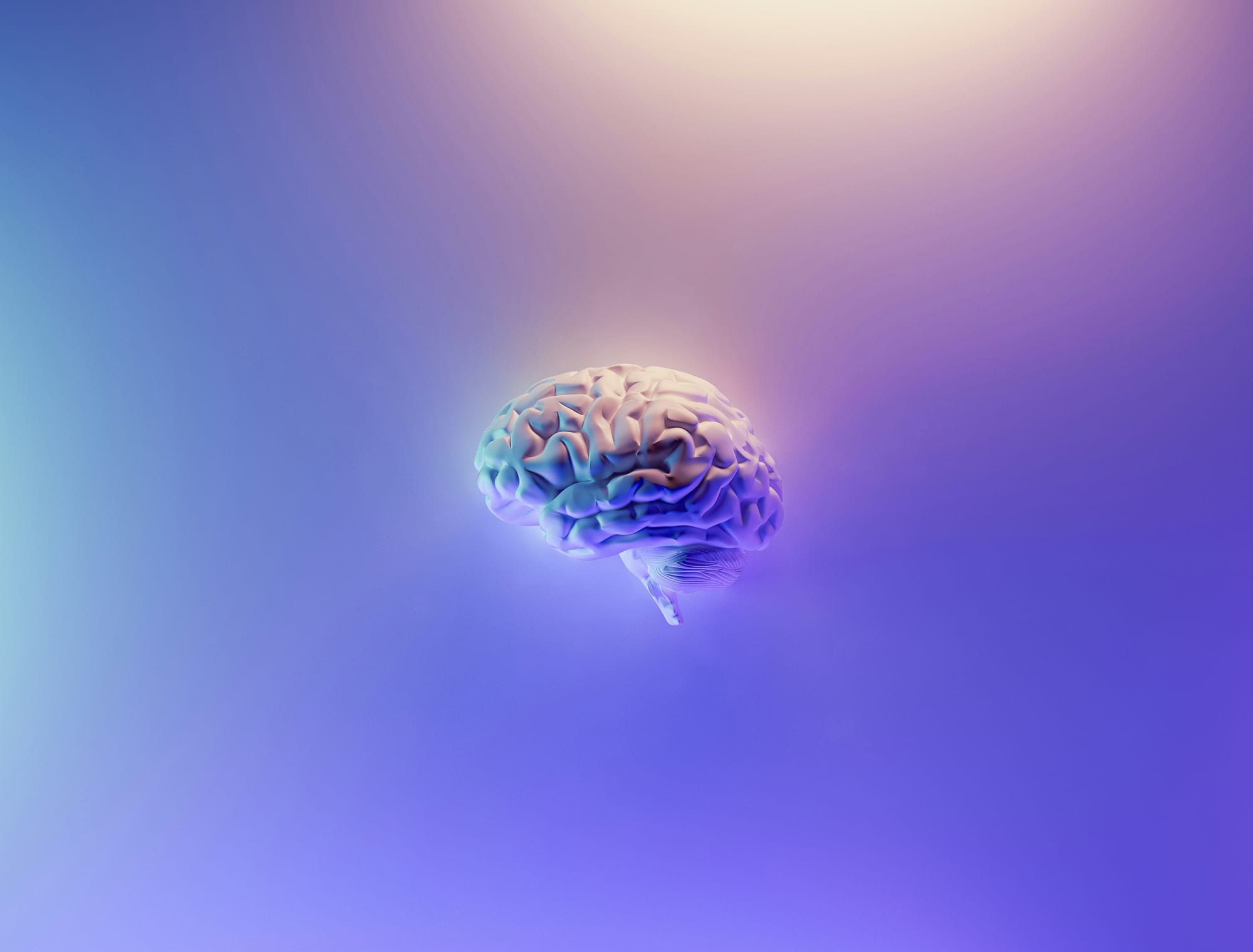 Tu imaginación crea la realidad