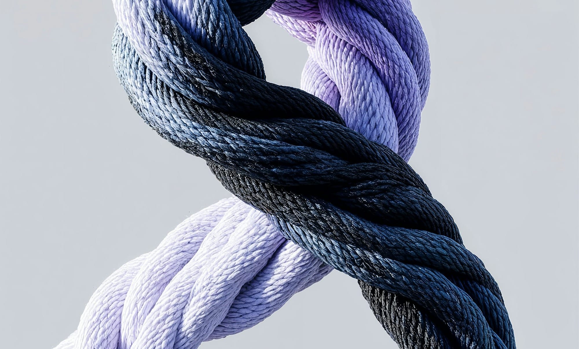 Una diadema real imagen destacada